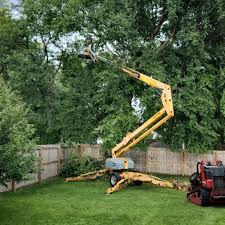 Best Sod Installation  in Bay Point, CA