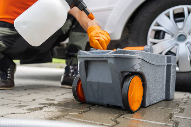 Best Tree Trimming and Pruning  in Bay Point, CA